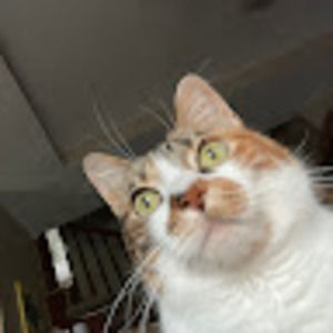 Meet your Posher, Chloe